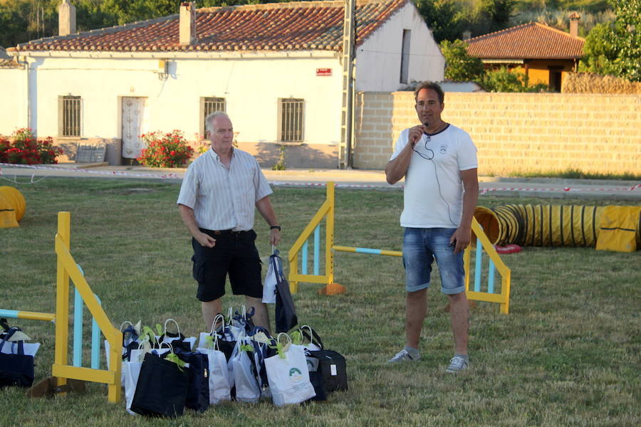Exhibición canina en Hornillos (Palencia)