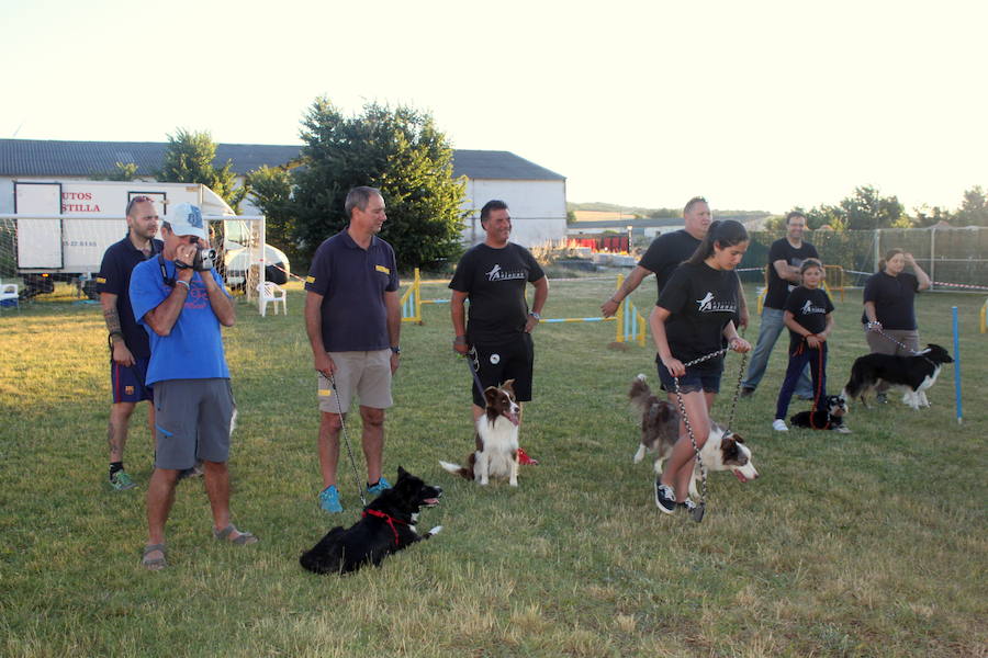 Exhibición canina en Hornillos (Palencia)