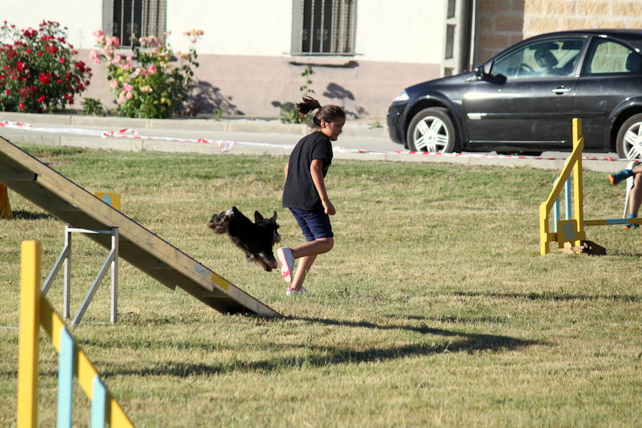 Exhibición canina en Hornillos (Palencia)