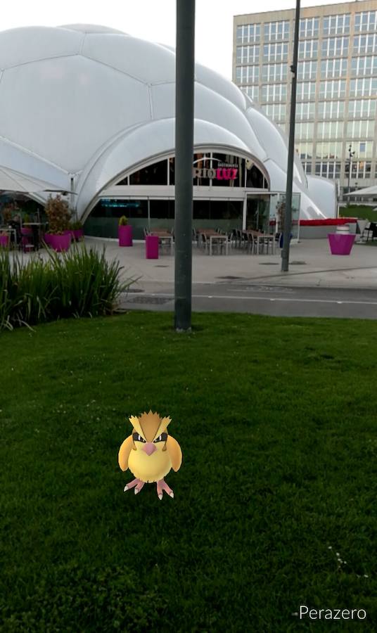 Pókemon Go en Valladolid
