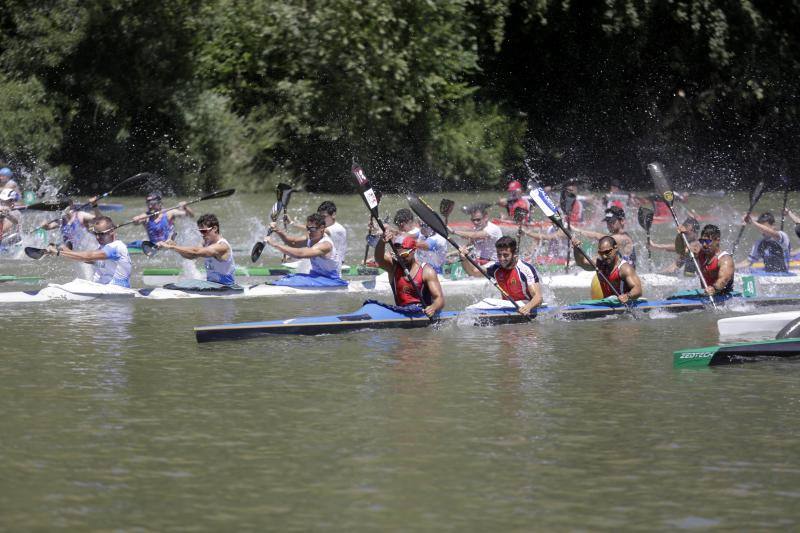 Regata k-4 en el río Pisuerga