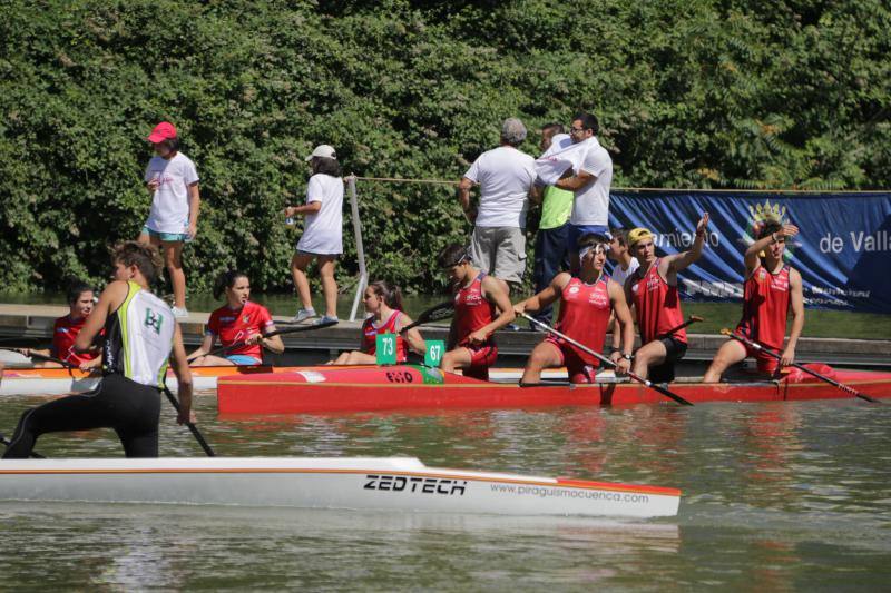 Regata k-4 en el río Pisuerga