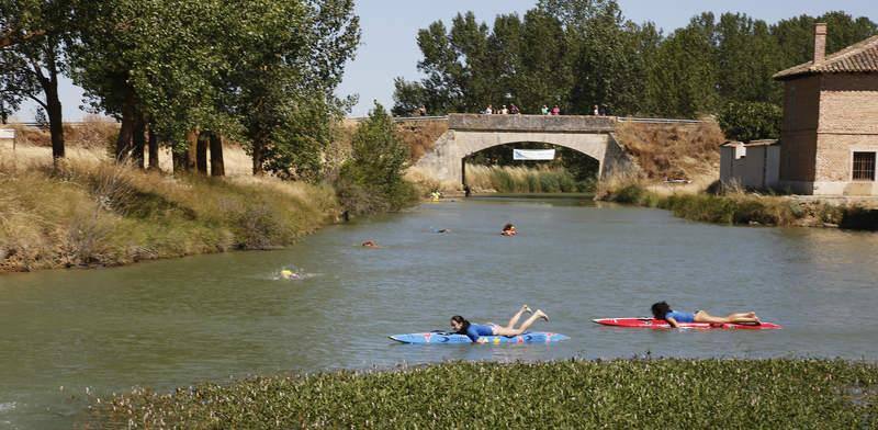 II Travesia a nado en el Canal de Castilla y Casas del Rey en Paredes de Nava