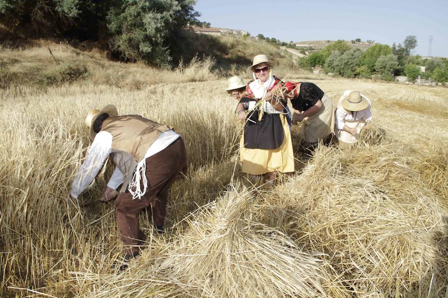 XIII Aniversario del Día de la Siega en Castrillo de Duero (Valladolid)