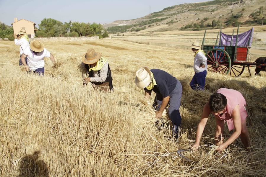 XIII Aniversario del Día de la Siega en Castrillo de Duero (Valladolid)