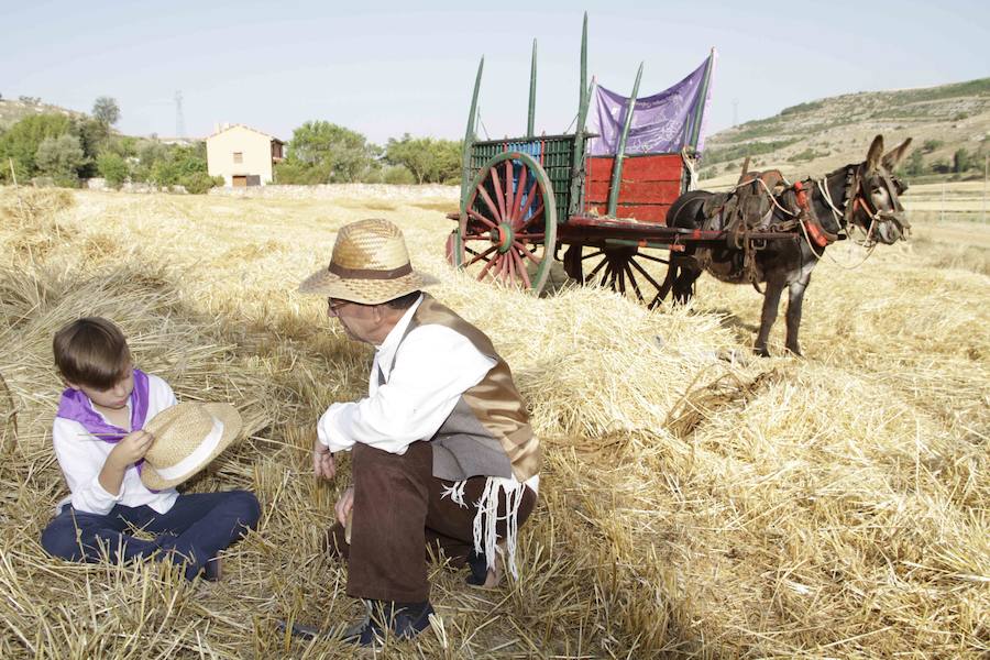 XIII Aniversario del Día de la Siega en Castrillo de Duero (Valladolid)