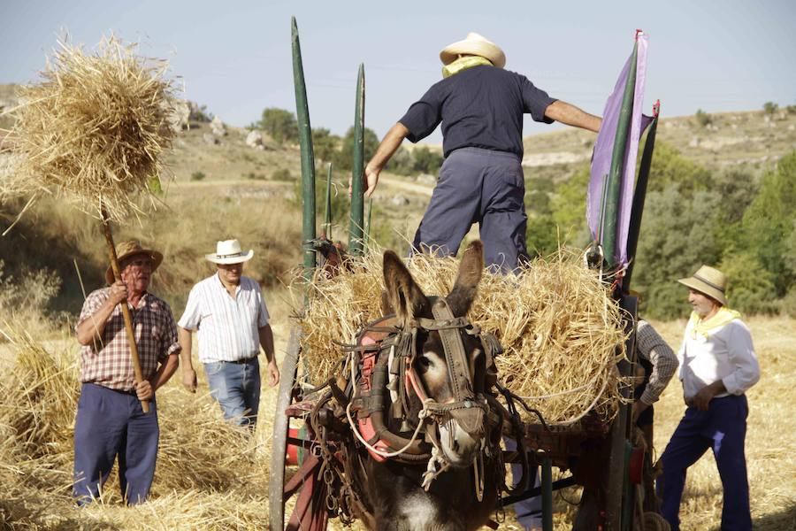 XIII Aniversario del Día de la Siega en Castrillo de Duero (Valladolid)
