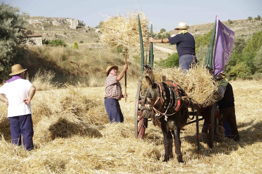 XIII Aniversario del Día de la Siega en Castrillo de Duero (Valladolid)