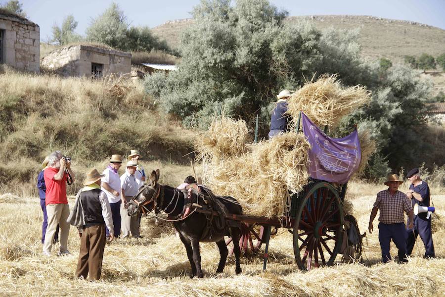 XIII Aniversario del Día de la Siega en Castrillo de Duero (Valladolid)
