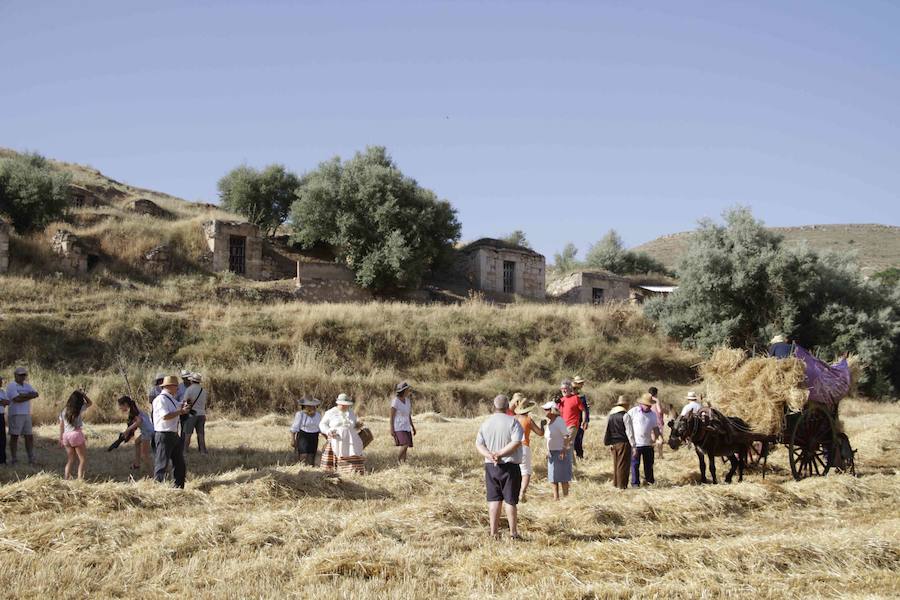 XIII Aniversario del Día de la Siega en Castrillo de Duero (Valladolid)