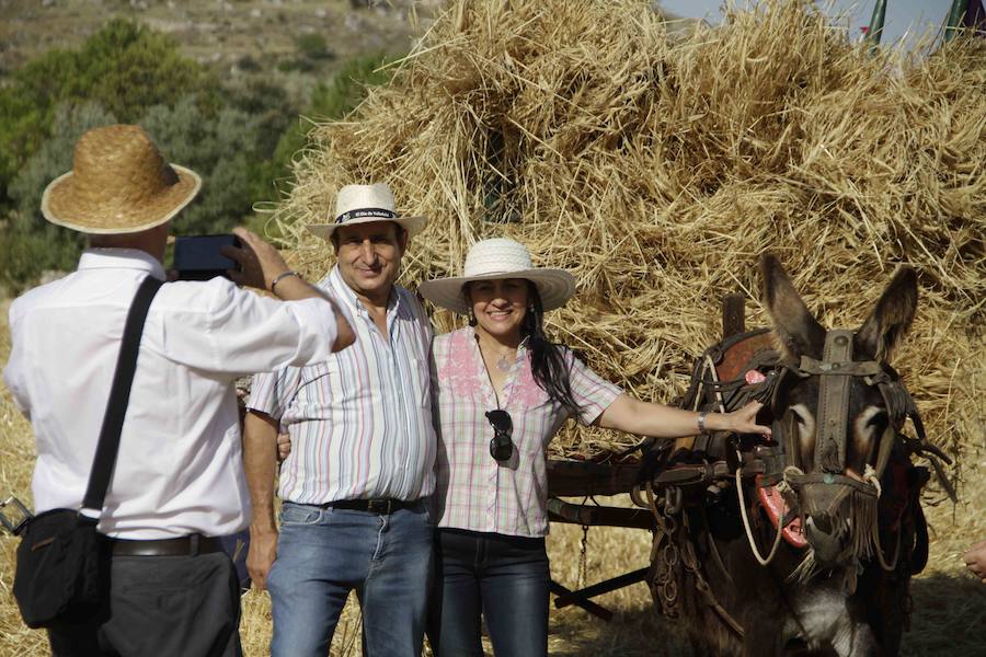 XIII Aniversario del Día de la Siega en Castrillo de Duero (Valladolid)
