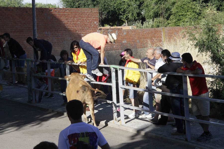 Capea y primer encierro en Campaspero