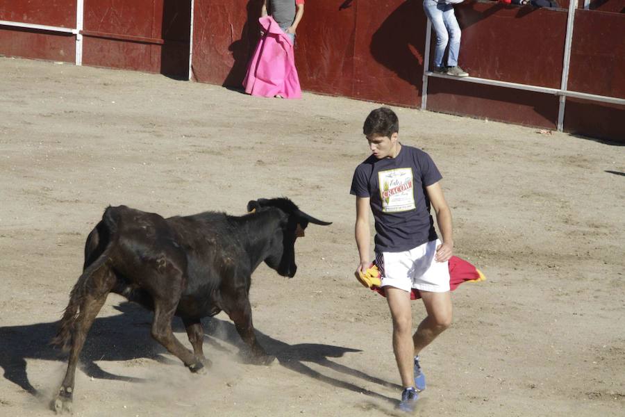 Capea y primer encierro en Campaspero
