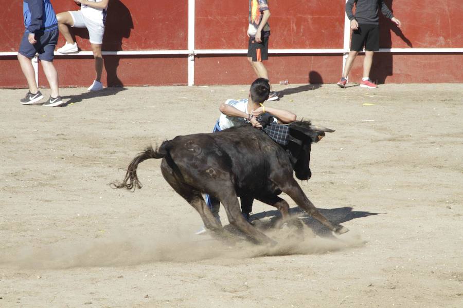 Capea y primer encierro en Campaspero