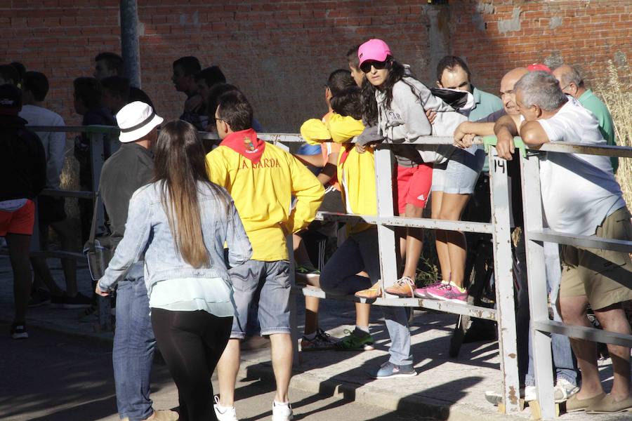 Capea y primer encierro en Campaspero