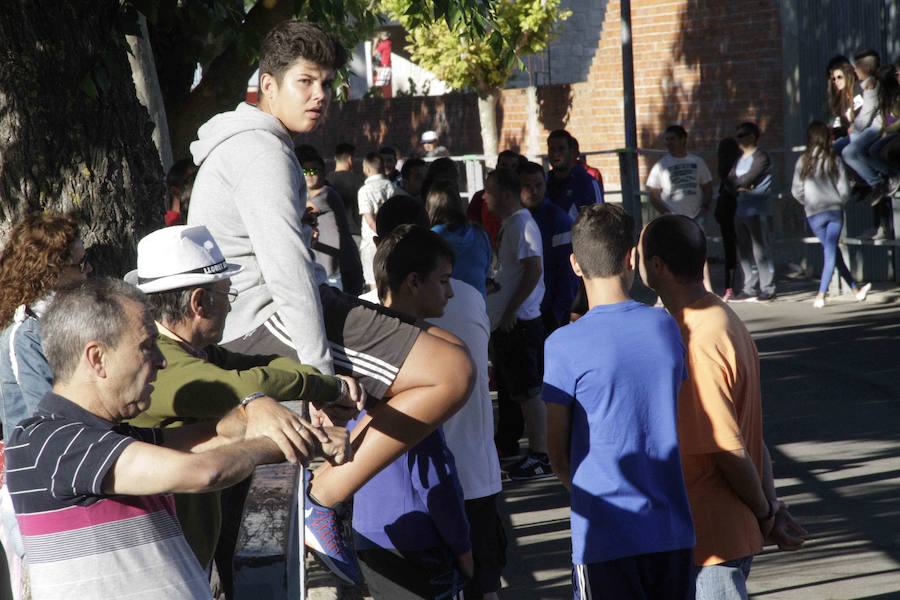 Capea y primer encierro en Campaspero