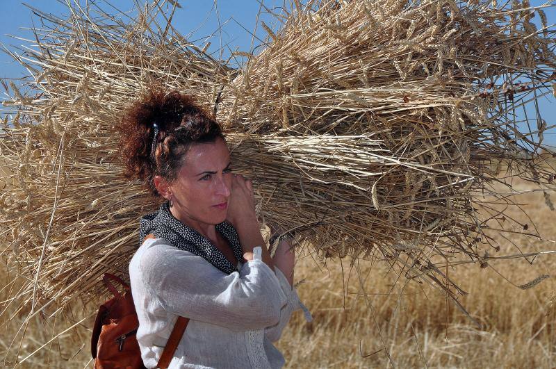 Fiesta de la siega en Nava del Rey