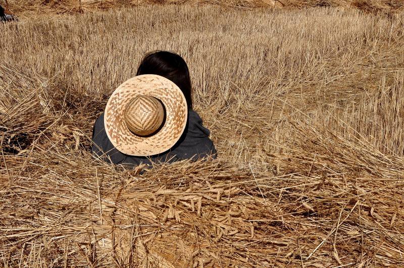 Fiesta de la siega en Nava del Rey