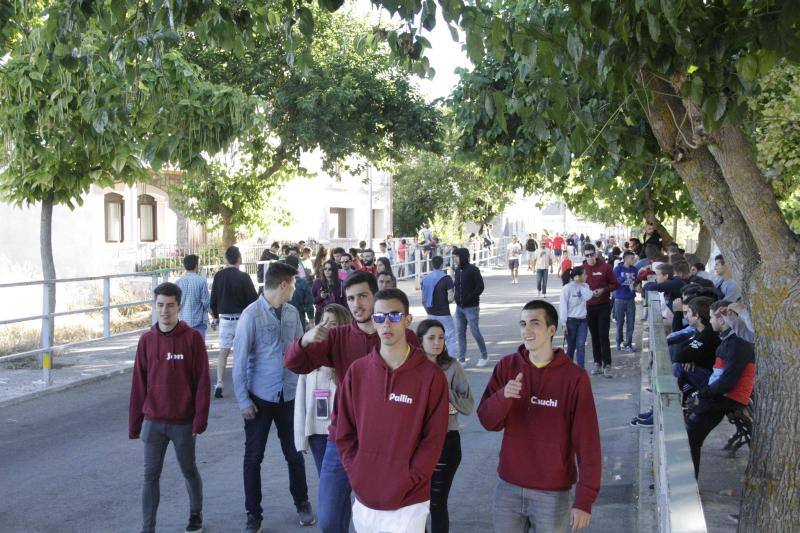 Segundo encierro y capea matinal en Campaspero