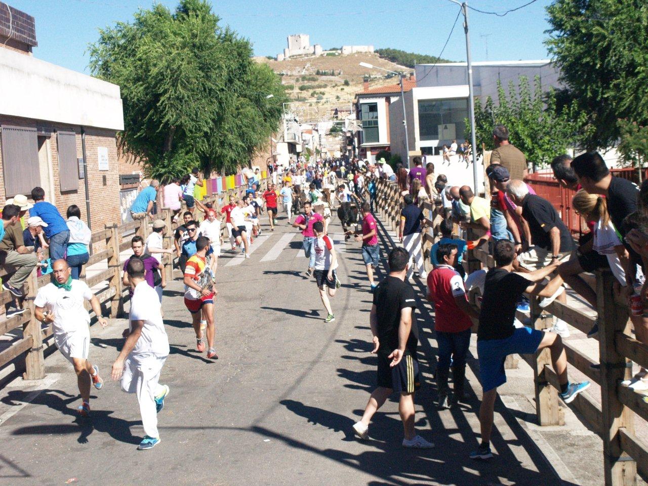 Encierro campero y probadilla en las fiestas de Íscar