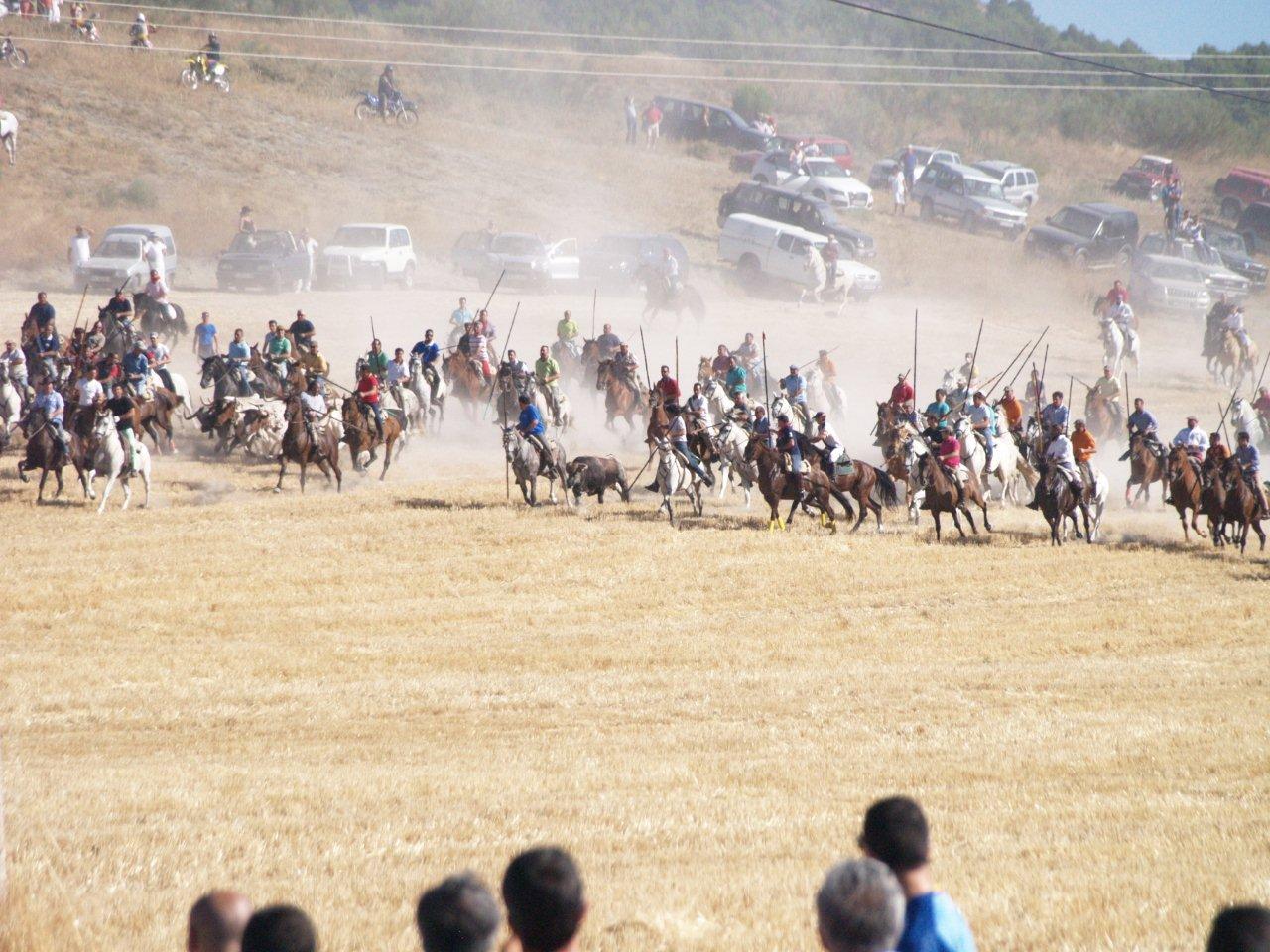 Encierro campero y probadilla en las fiestas de Íscar