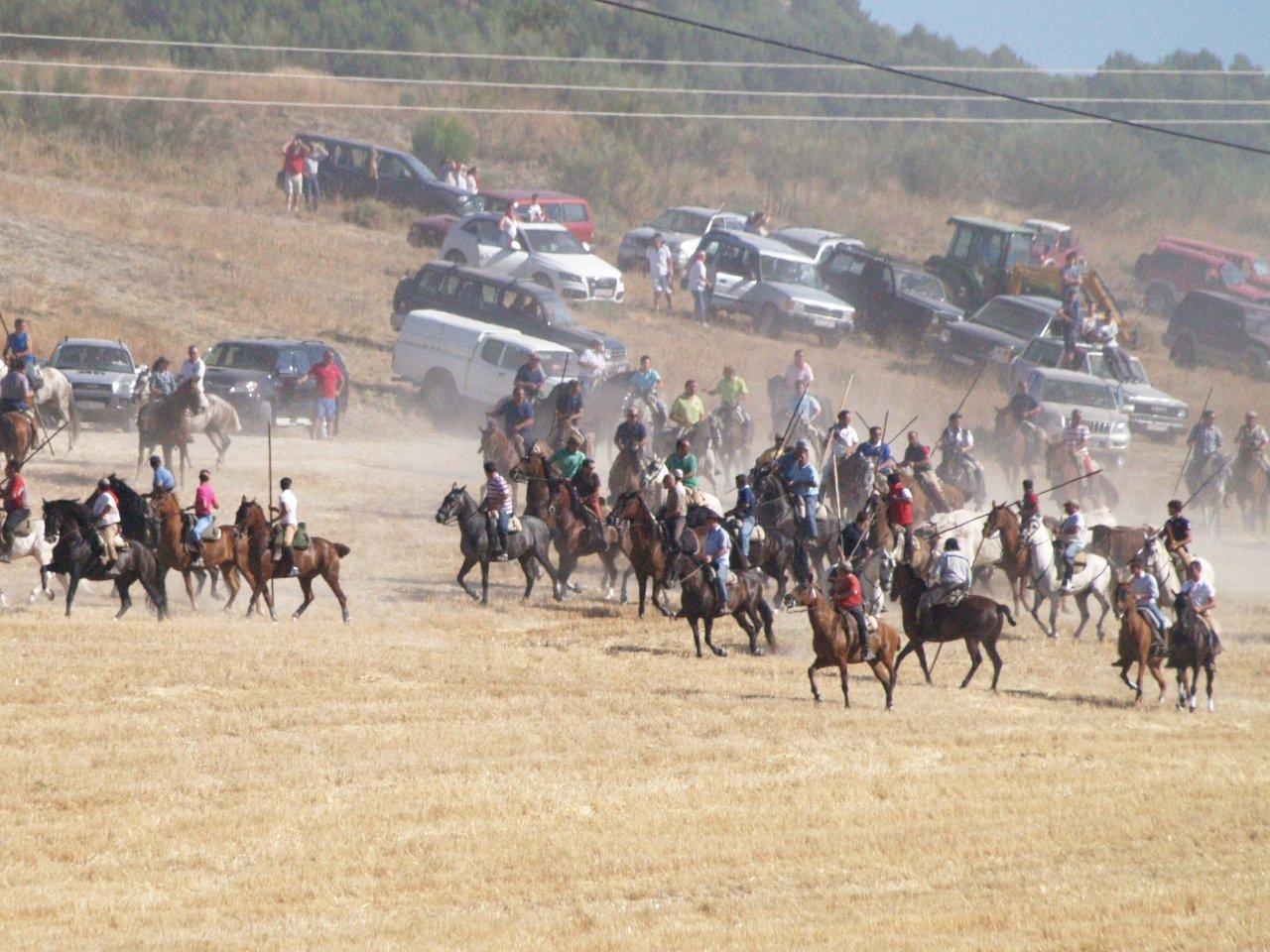 Encierro campero y probadilla en las fiestas de Íscar