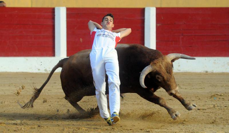 Cortes de novillos en Íscar