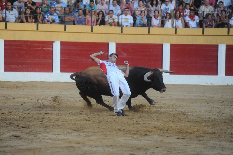 Cortes de novillos en Íscar