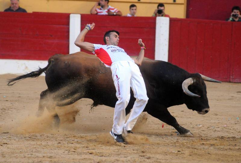 Cortes de novillos en Íscar