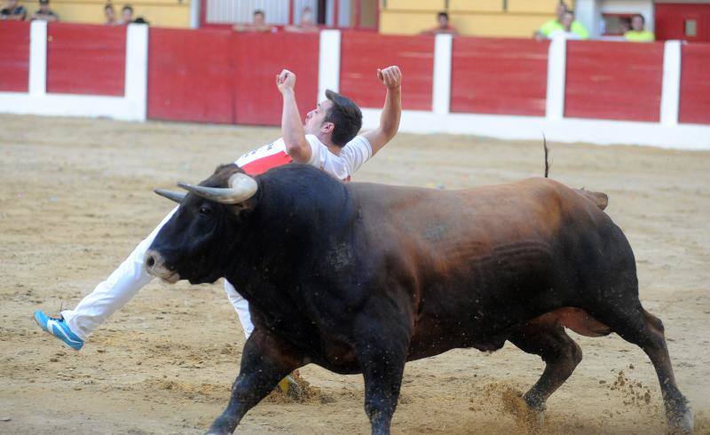 Cortes de novillos en Íscar