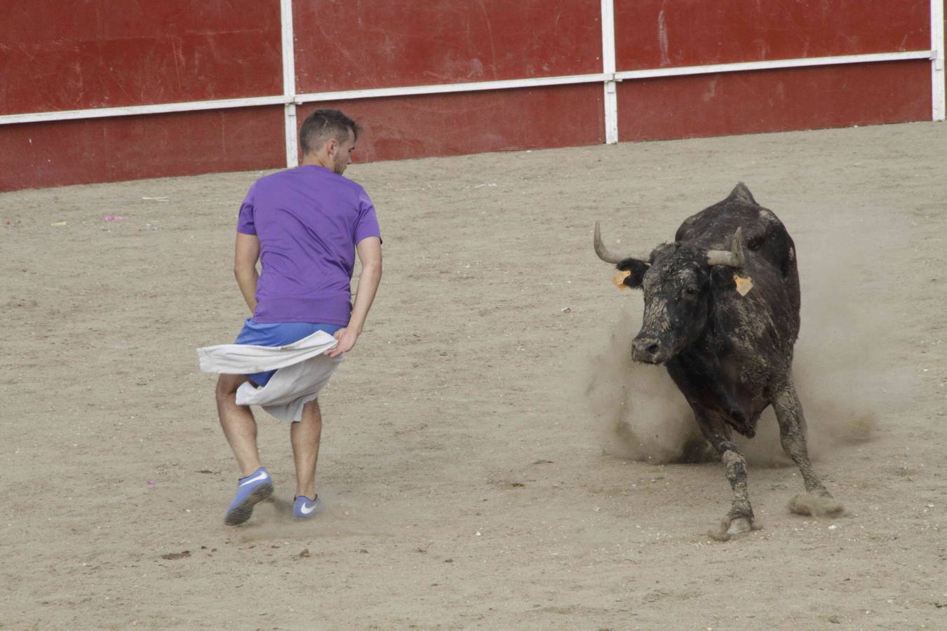 Tercer y último encierro de las fiestas de Campaspero