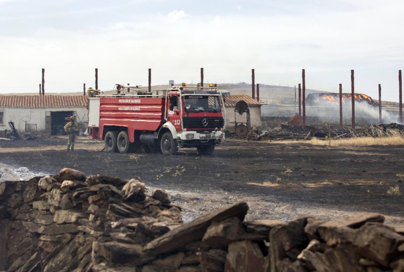 Un incendio declarado en la zona de Aldeagallega sorprende a los vecinos de Miranda de Azán y Aldeatejada (Salamanca)