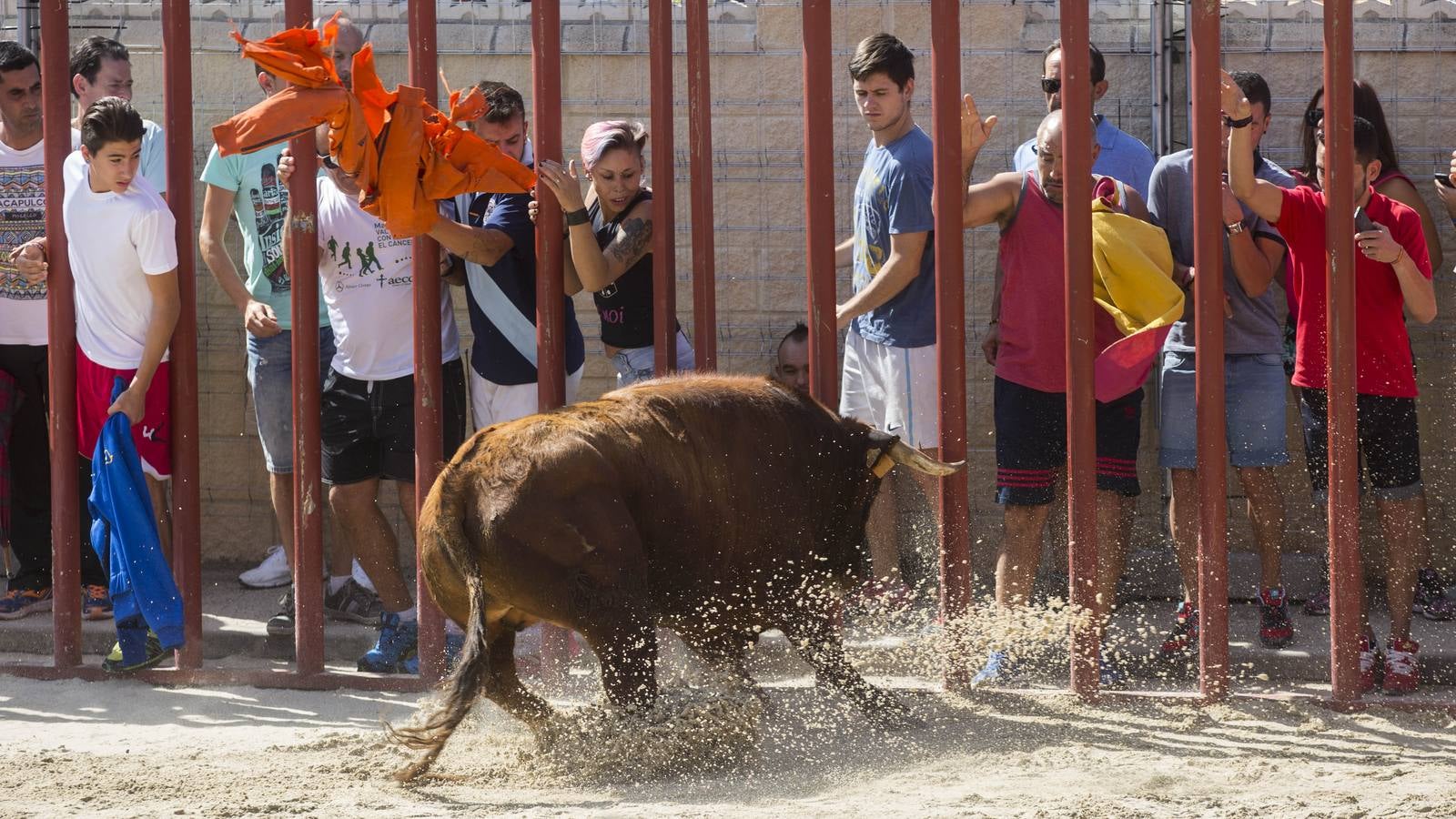 Encierro en las fiestas de Viana de Cega