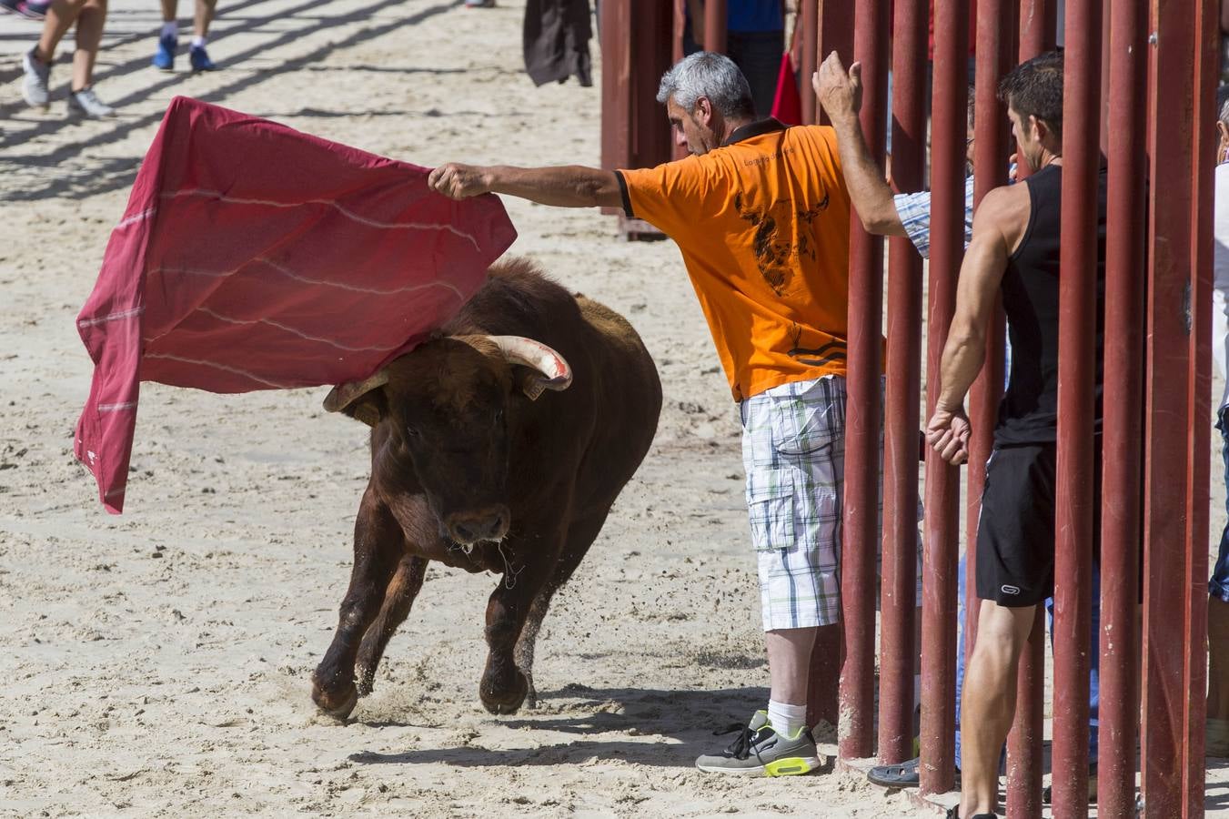 Encierro en las fiestas de Viana de Cega