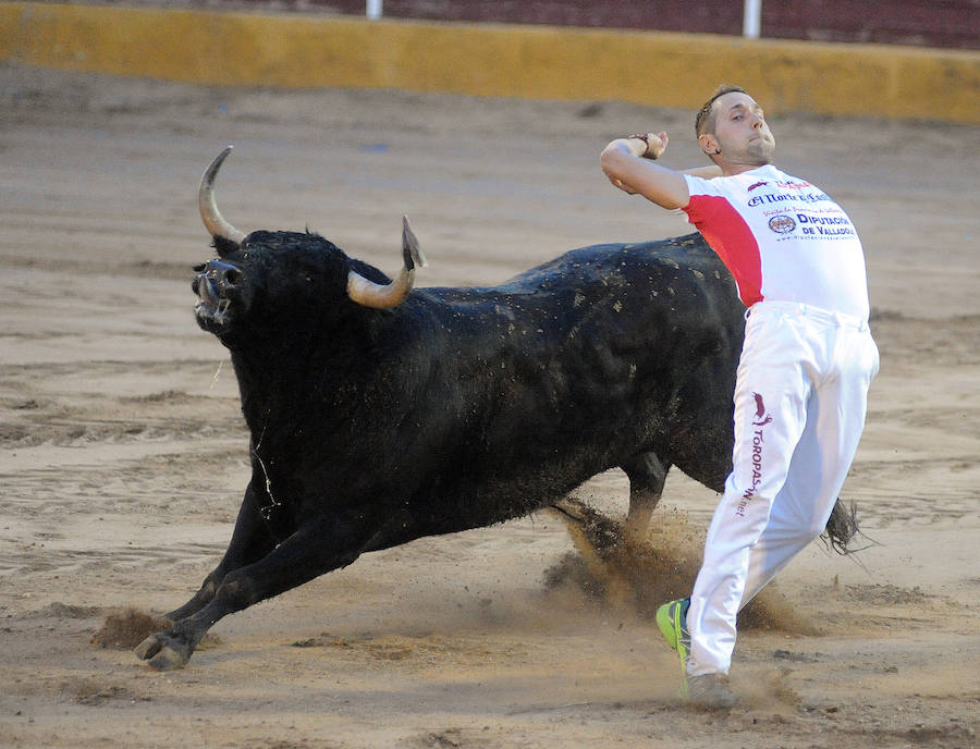 Concurso de recorte libre en Pollos
