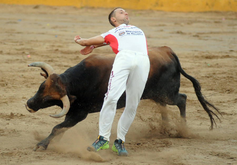 Concurso de recorte libre en Pollos