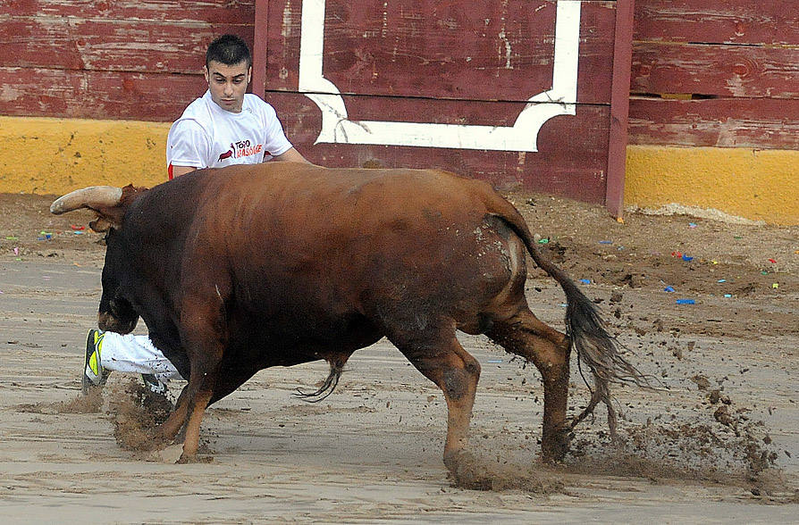 Concurso de recorte libre en Pollos