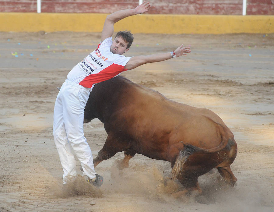 Concurso de recorte libre en Pollos