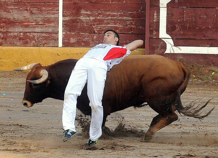 Concurso de recorte libre en Pollos