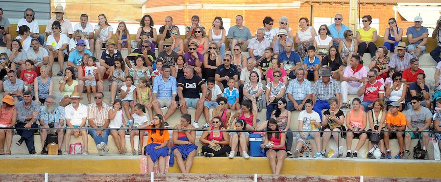 Concurso de recorte libre en Pollos