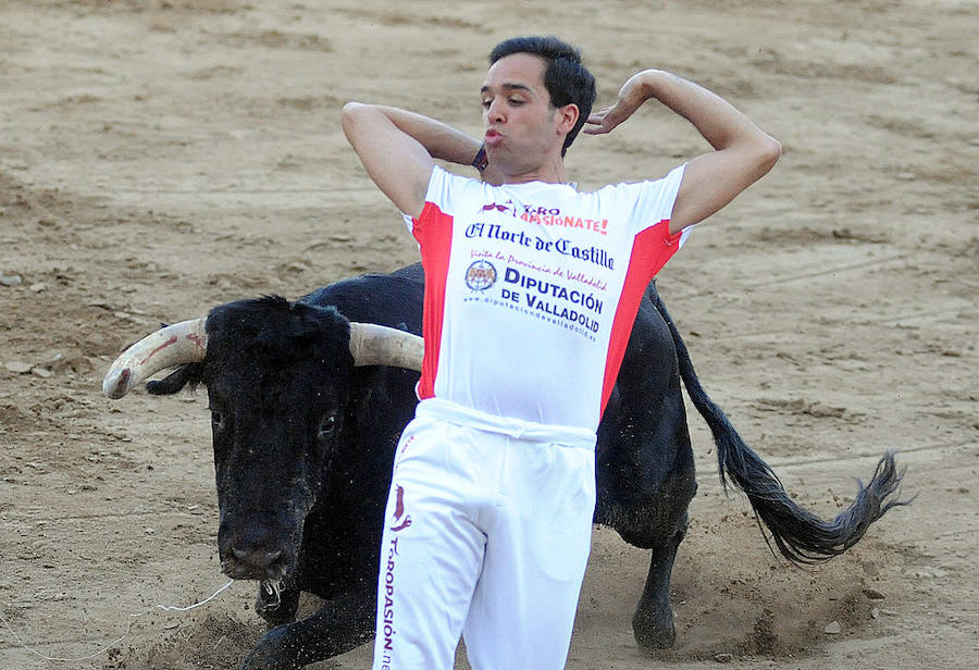 Concurso de recorte libre en Pollos