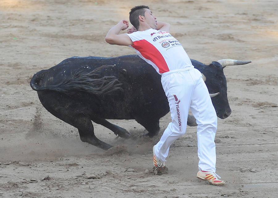 Concurso de recorte libre en Pollos