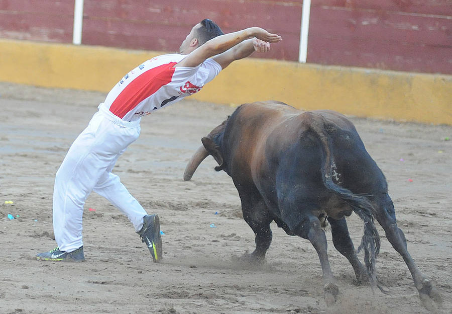 Concurso de recorte libre en Pollos
