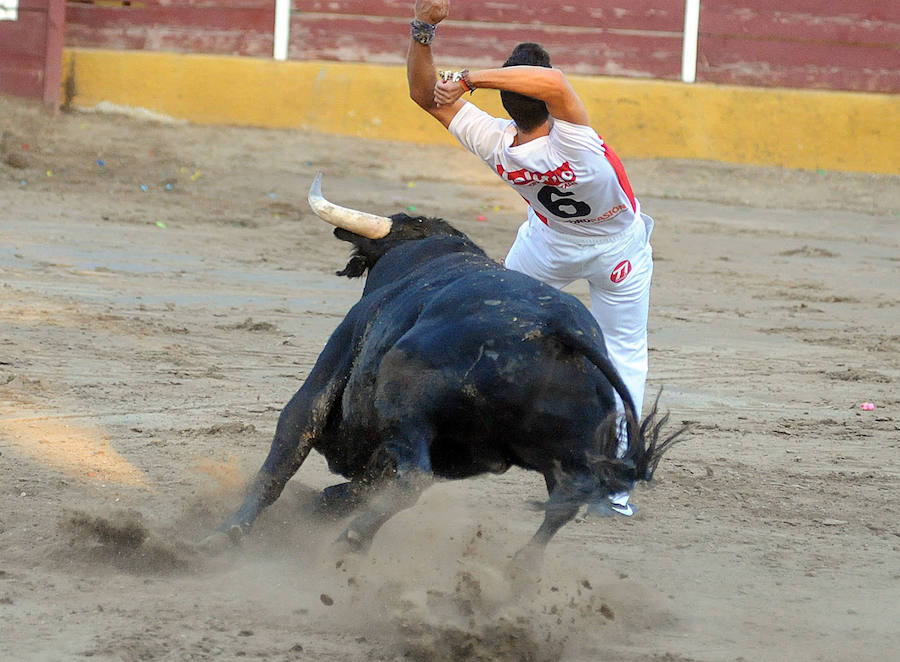 Concurso de recorte libre en Pollos