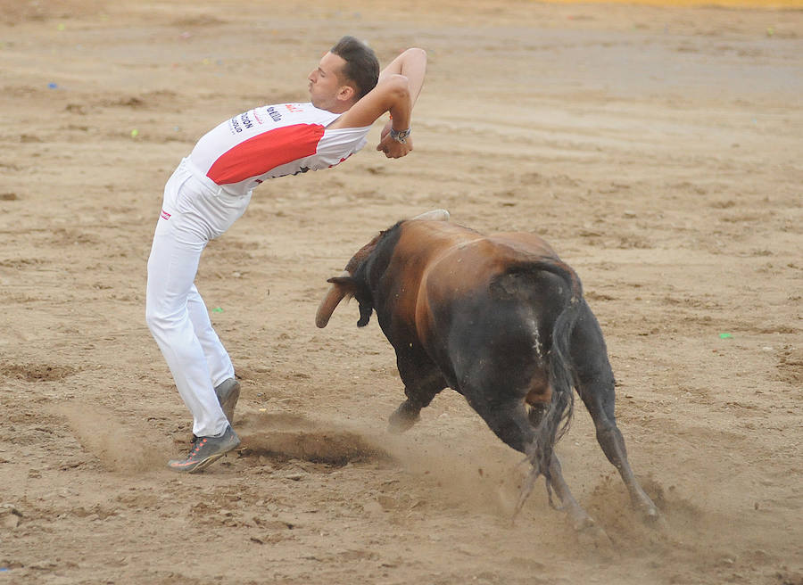 Concurso de recorte libre en Pollos