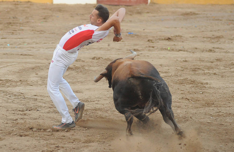 Concurso de recorte libre en Pollos