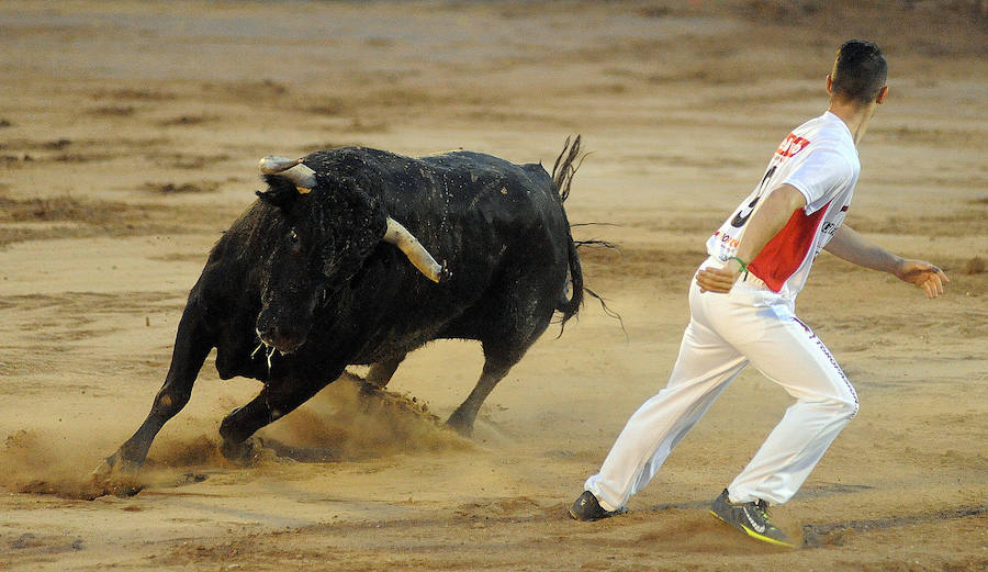 Concurso de recorte libre en Pollos