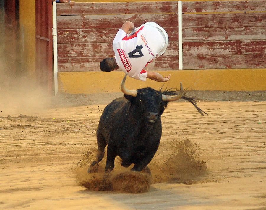 Concurso de recorte libre en Pollos