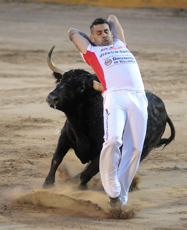 Concurso de recorte libre en Pollos