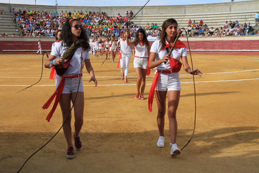 Corrida en Cantalejo en honor a Víctor Barrio (1/2)